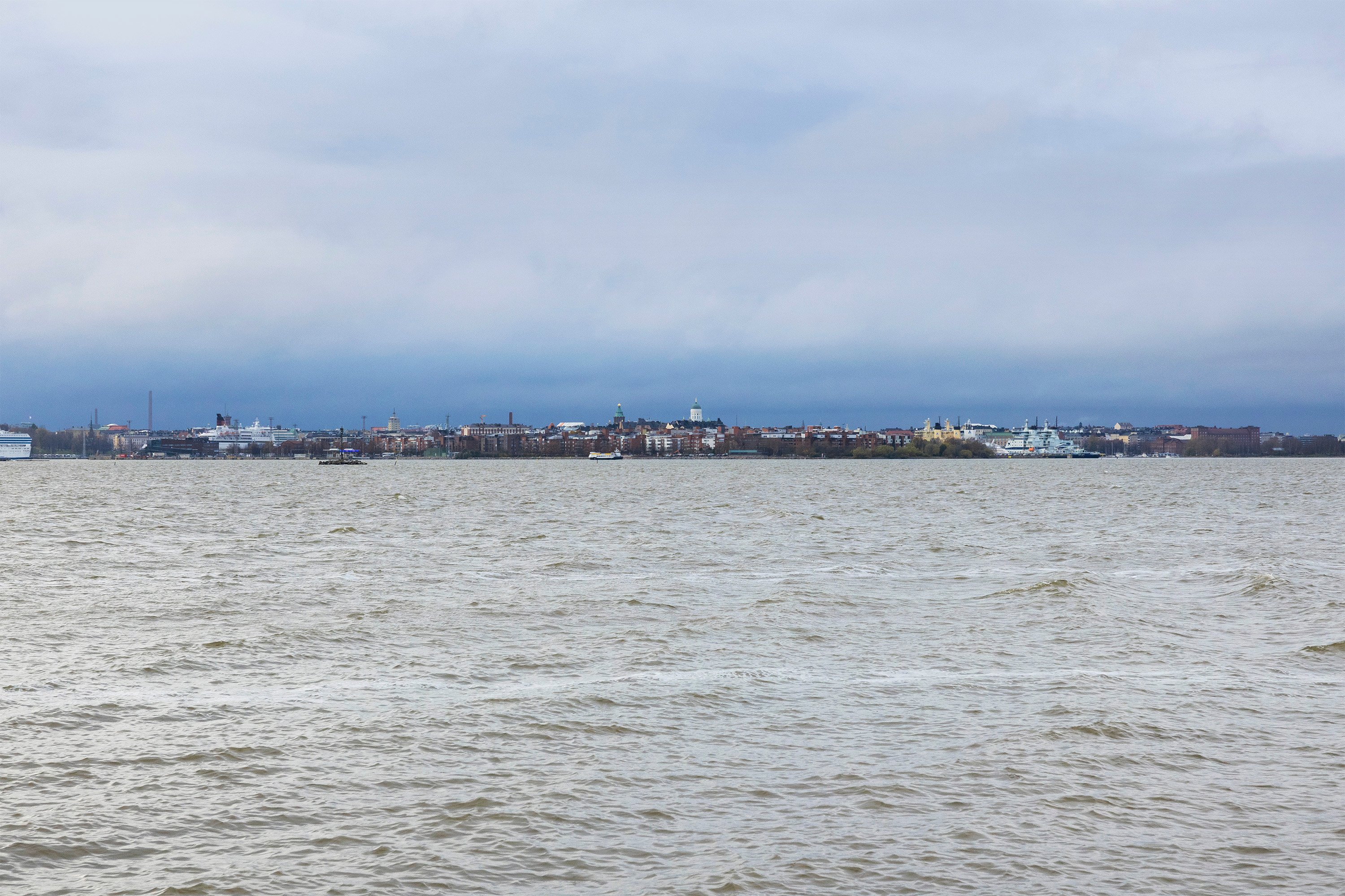 Koirasari sykyllä 2025