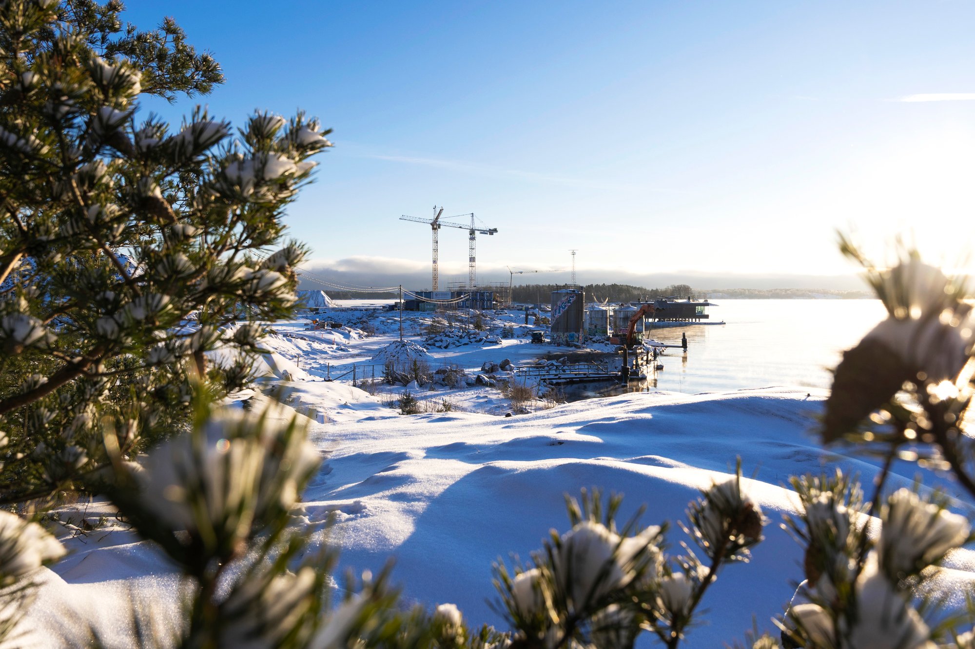 Koirasaari talvella 2026