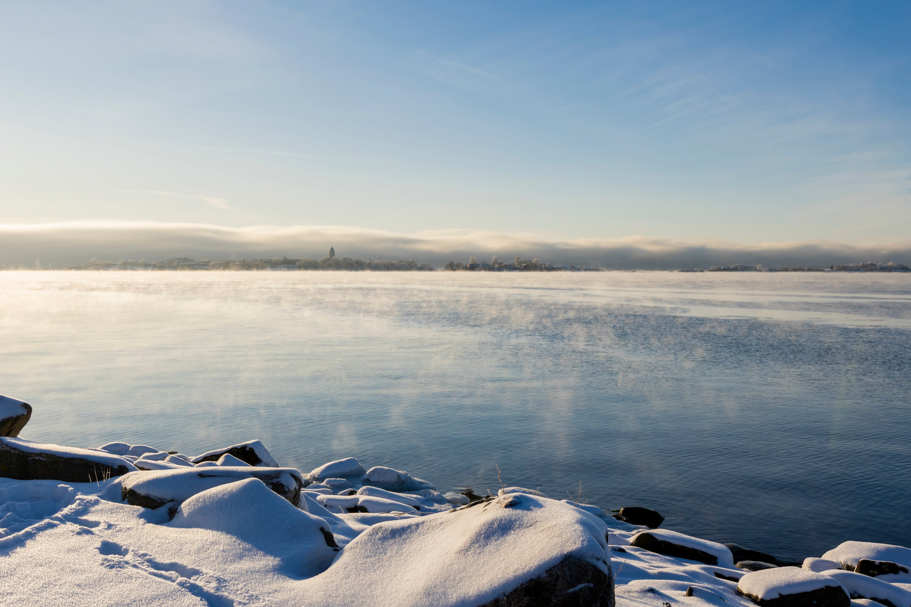 Koirasaari talvi 2026