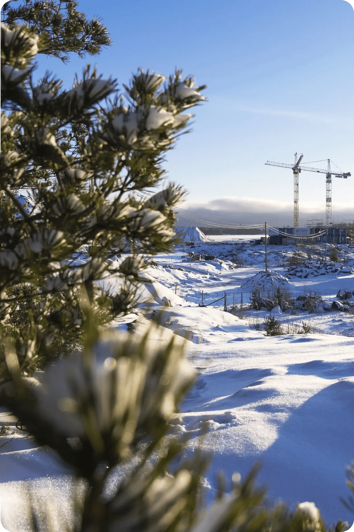 Koirasaari talvella 2026