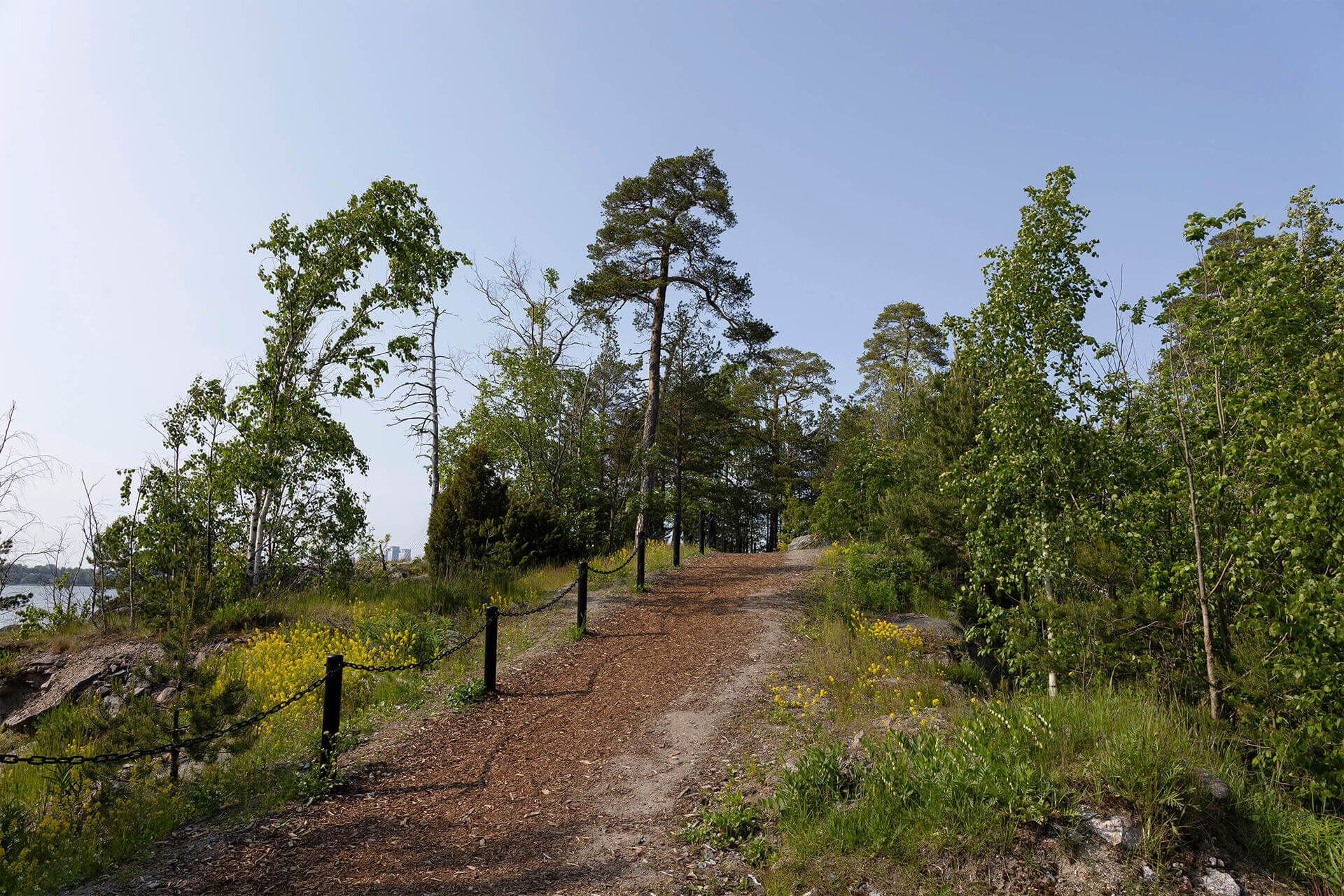 Wiirinkallio Helsingin Kruunuvuorenrannassa
