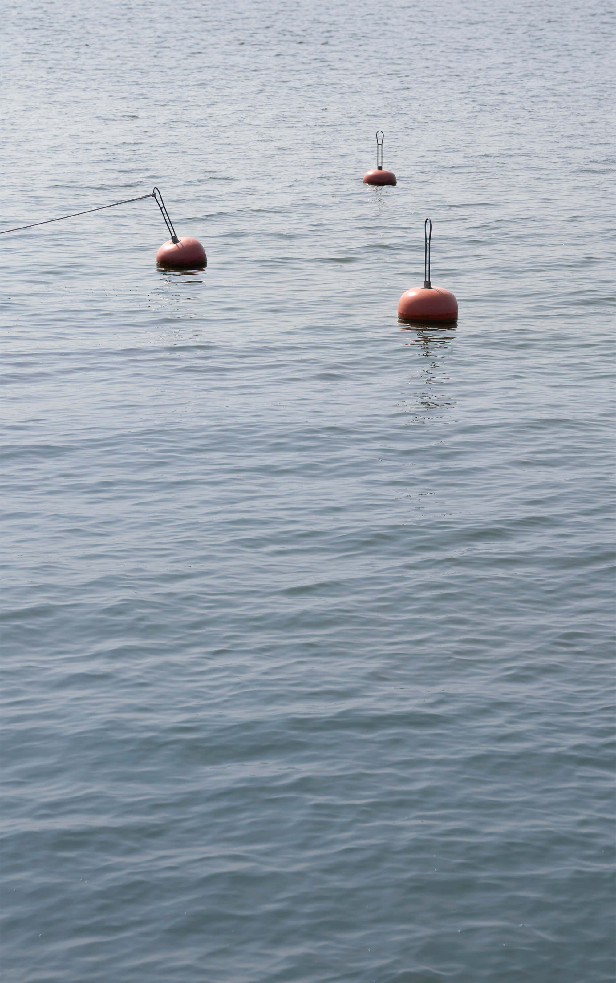 Merimaisema ympäröi Koirasaarta